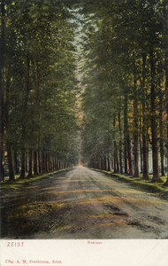 15587 Gezicht in de Koelaan met rijen loofbomen te Zeist uit het noordoosten.